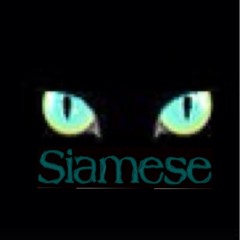 OfficialSiamese
