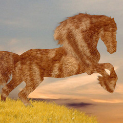 CatsRidingHorses