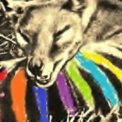 pierce county certified backwood rollers