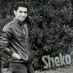 Ahmed Sheko 12