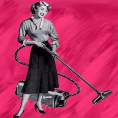 Dodgy Hoover