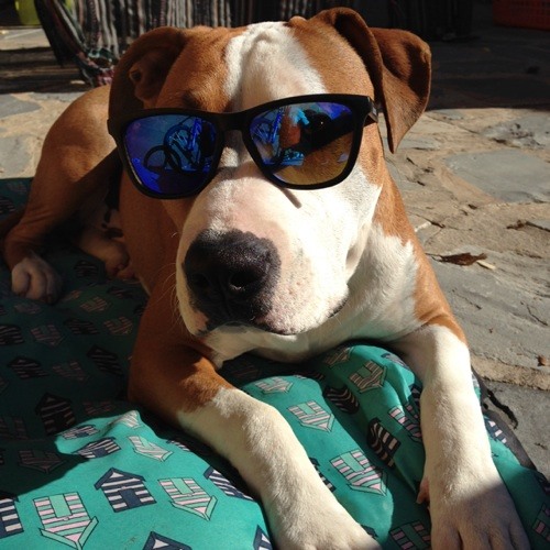 Stream Lauri Lauri Silva music Listen to songs, albums, playlists for