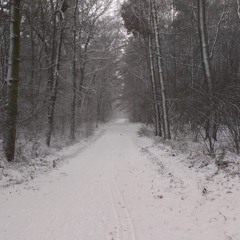 Microtonal & Dissonant Music / Sons Of Belial