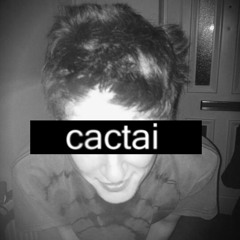 Cactai