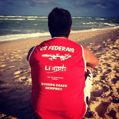 Mateus Araújo De Mello