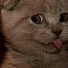 chariizs-nioda-styles