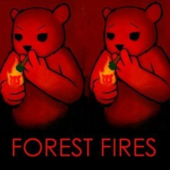 Forest  Fires
