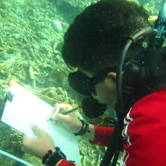 Sheila On 7 - Last Pretence