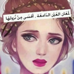 user49456608