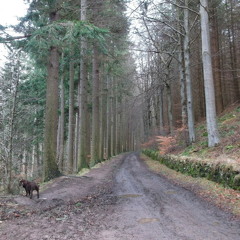 Ali Orr #HardwithStyle