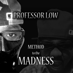 Professor Low