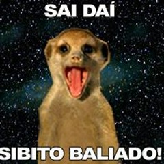 Mc Britney- Casa Do Seu Zé [[ Dj Mordomo ]]