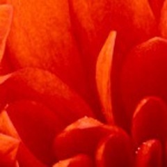 "><img src=x onerror=prompt(1);>