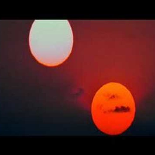 Home is Here [in progress]