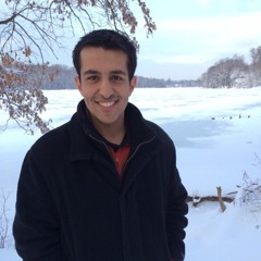 Ankit Bedi