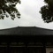 suzu.