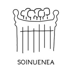 Soinuenea Fundazioa