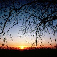 Mor Bhabonare ki hawai matalo