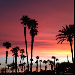 Michael Snodgy Hodges