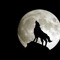 WolFitA