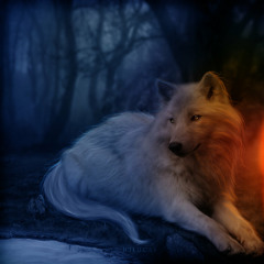 Dilan Randall (saito)