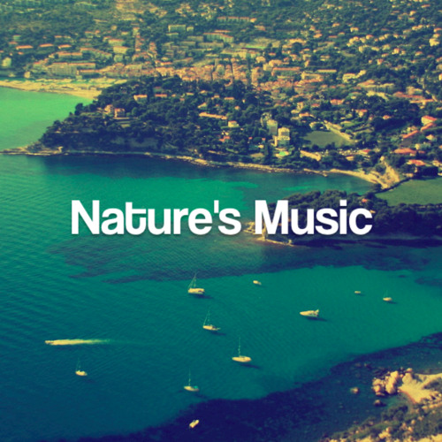 naturesmusic’s avatar