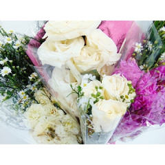 SID - Lady Rose