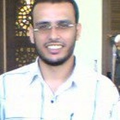 Yasser Fathy 5