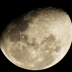 TheMoonDuster