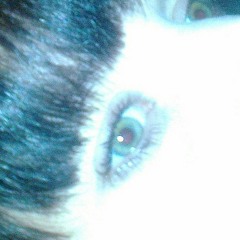 butterheart acoustics