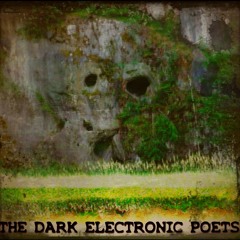 The Dark Electronic Poets
