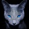 Blue-eyed CAT