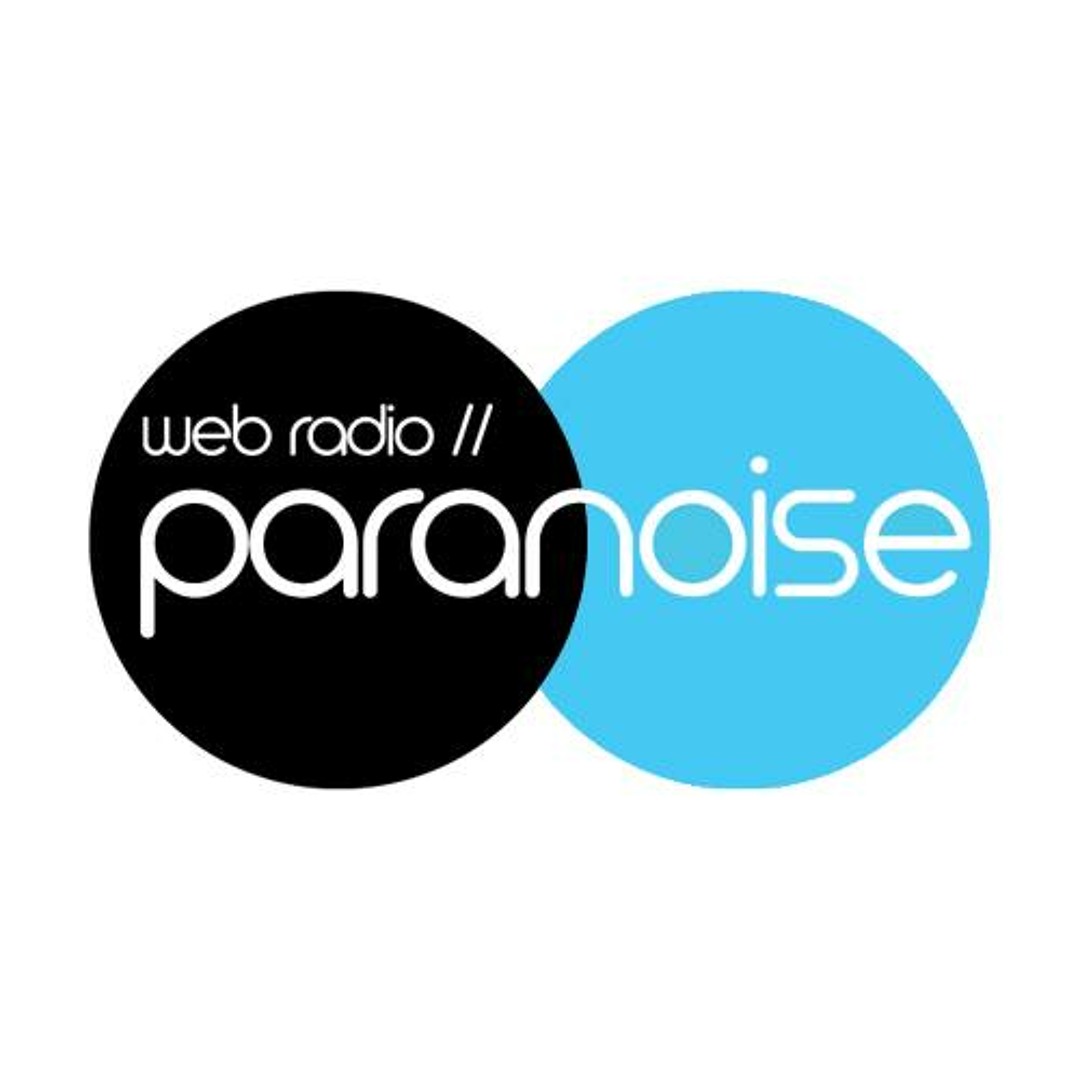 paranoise logo