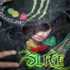 PaRa_SliCe