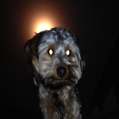 ChristopherCopperpot