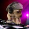 AlbDoggyDog