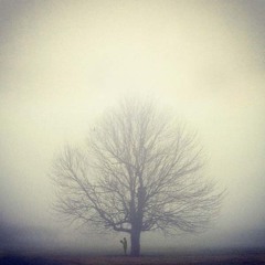 The Backroad Scholar