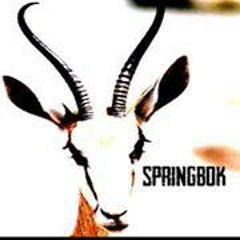 Springbok (Gr)
