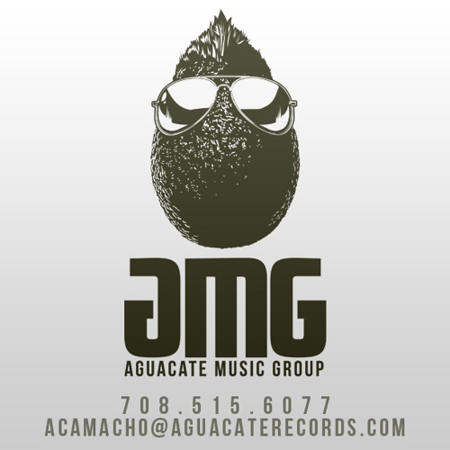 Aguacate Music Group’s avatar