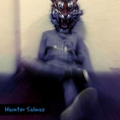 Haunter Salinas Ochoa