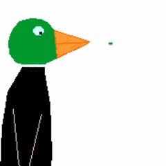 DUCK EMERY
