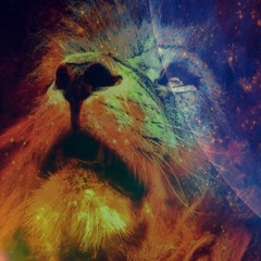 LionUniverse