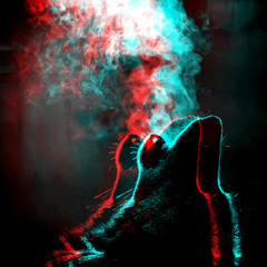 Dusty_Hippy