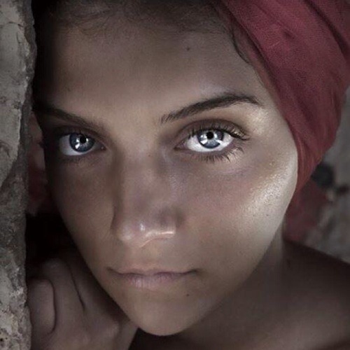 Somebody That I Used To Know - Boyce Avenue