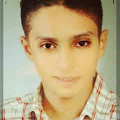 ehabhamdy