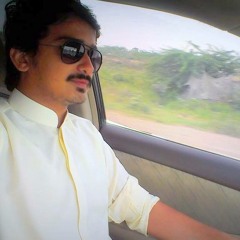 Shahzad Arshad 1