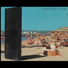 Los Northern Tigers