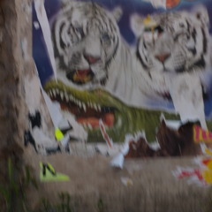 pasdidé