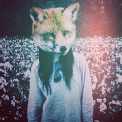 Glitch_Foxes