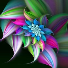 Eman Reda Abd El-Khalek